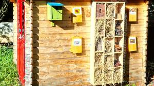 Holzhütte mit neuem Insektenhotel plus vier Infotafeln aus Holz mit weiterführenden Informationen stehen im Schulgarten der SRH SHS Bad Wimpfen.